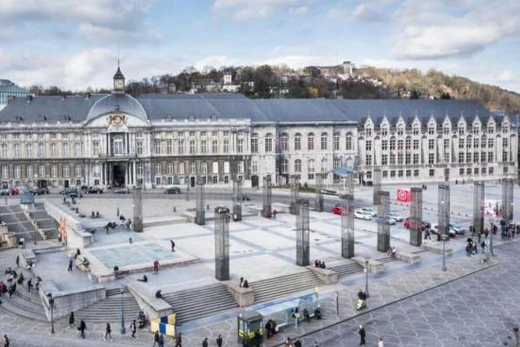 "Coeur De Meuse" - Appartement Tout Confort A Liège Eksteriør billede